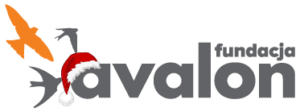 Logo Fundacji Avalon z czapką Mikołaja